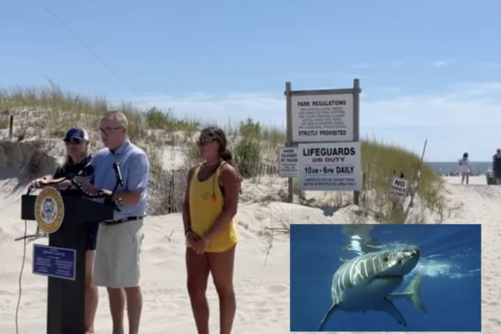 Swimming Reopens At Hempstead Beach After Multiple Shark Sightings