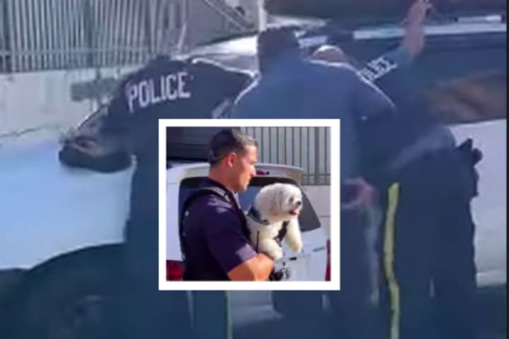 Video Shows Police Rescuing Dog From Hot Car On Jersey Shore