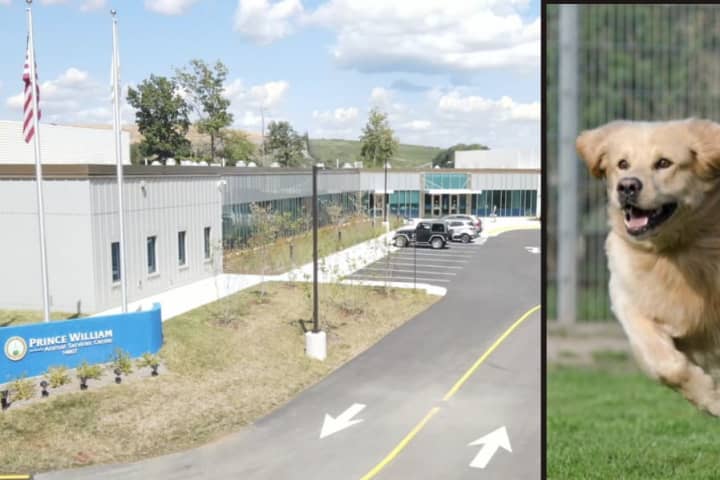 FREE Animal Adoptions To Open New PWC Animal Services Center