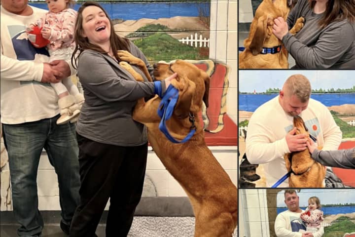 Dog In 'Crazy Rescue Ladies' Hoarding Case Reunited With Her Tennessee Owners