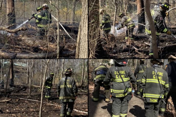 Firefighter Injured Containing 'Significant' Brush Fire At Rock Creek Park