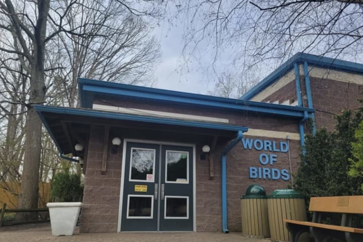 Cape May County Zoo Closes Bird Exhibit With Plans For New Aviary