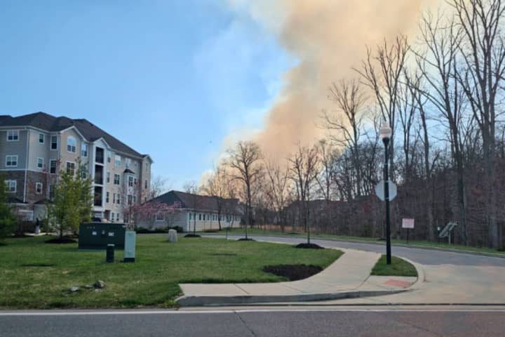 700 Acres Burned In Historic Wildfire In Owings Mills: Here's What We Know