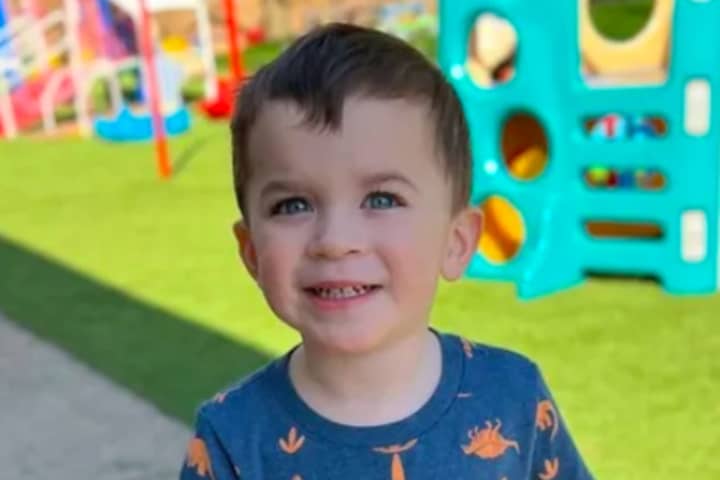 Legacy Of Toddler Killed By Falling Tree In Lower Southampton Lives On