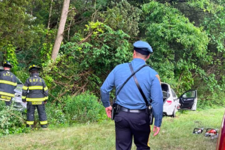 Trapped Dog, Victims Rescued From Route 287 Crash By Firefighters (PHOTOS)