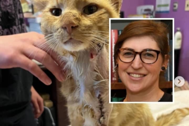 'Jeopardy!' Host Rallies Around Cat At North Jersey Animal Shelter