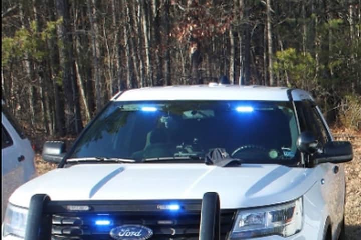Police ID Remains Found In Northern VA Woods