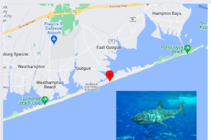 Shark Attack: July 4th Beachgoer Hospitalized After New Incident On Long Island