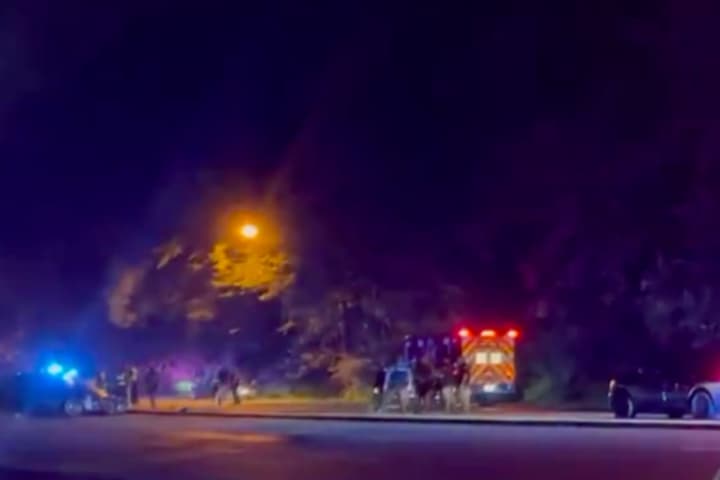 Fiery Crash Kills 1, Seriously Hurts 3 In Fairfax County
