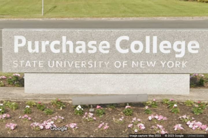 Protesters Arrested At SUNY Purchase May Not Be Disciplined