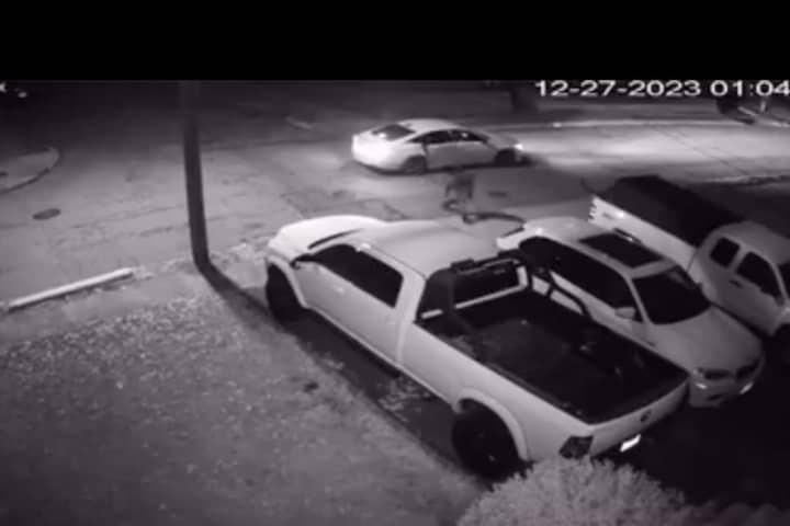Verona Police Encounter Car Burglars After Vehicle Stopped In Roadway: (VIDEO)