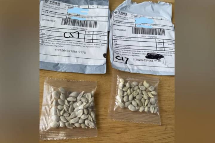 Mysterious Seed Packets Arriving In Mail Could Be A Scam - Don't Plant Them