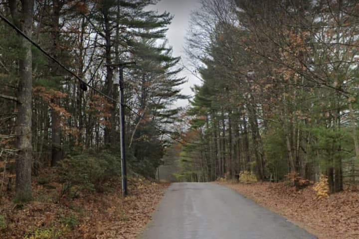 Timber Harvester Plans Disc Golf Course In Western Massachusetts