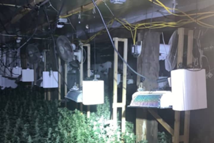 Fried Electric Wires Lead To Weed Worth $3 Million In Western Mass