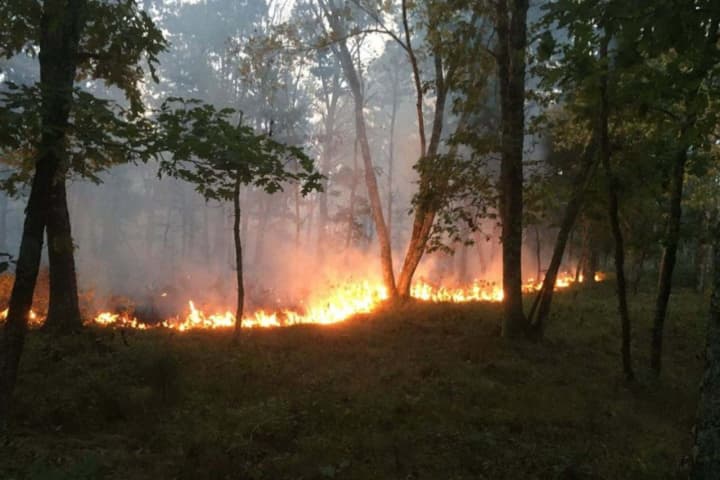 Wildfire Burning In Connecticut Has Consumed Acres Of Parkland