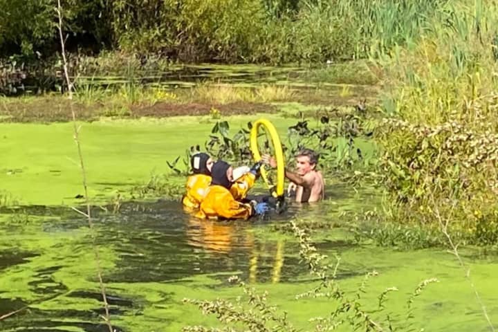 Firefighters Rescue Man Who Got Stuck In A Swamp Trying To Save His Dog