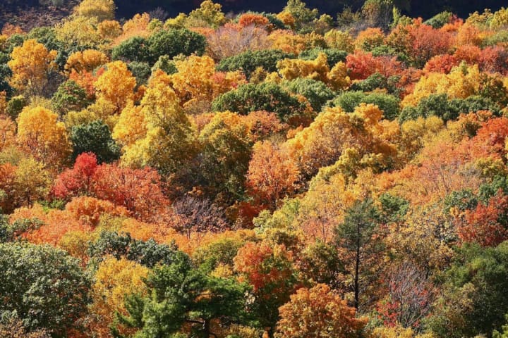 Top 5 Places To See Fall Colors In Connecticut