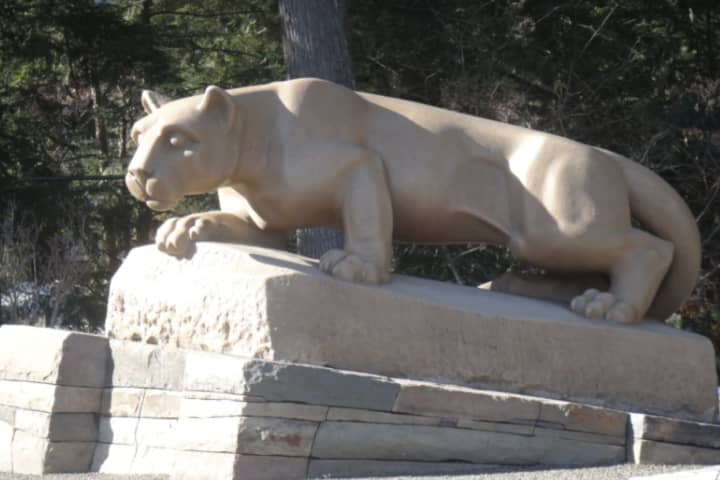 Penn State Lion Loses Ear To Vandals Officials Say