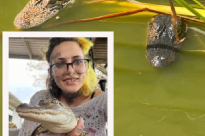 Alligators 'Stolen', Couple Cited For Illegal Exotic Animals In Lebanon County
