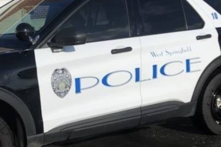 Woman, 25, And Her Dog Killed While Taking Walk In West Springfield: Police
