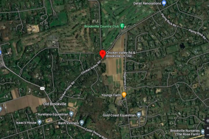 16-Year-Old Girl Killed, 3 Boys Hospitalized After Old Brookville Crash