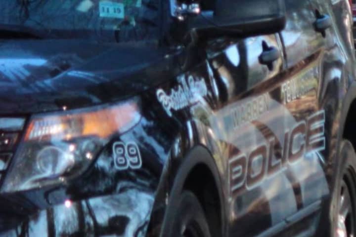 Teen Caught With Handgun After Stolen Car Chase, Rt. 78 Crash; 2 Escape: Somerset Prosecutor