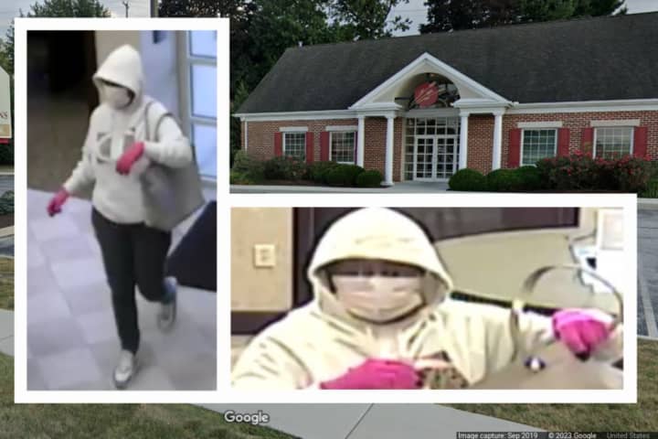 Pink Gloved Woman Robs York County Bank, Police Say