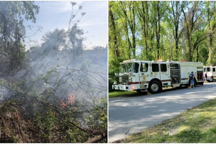 Brush Fire Near Train Tracks Pauses CSX Travel In Harford County (DEVELOPING)