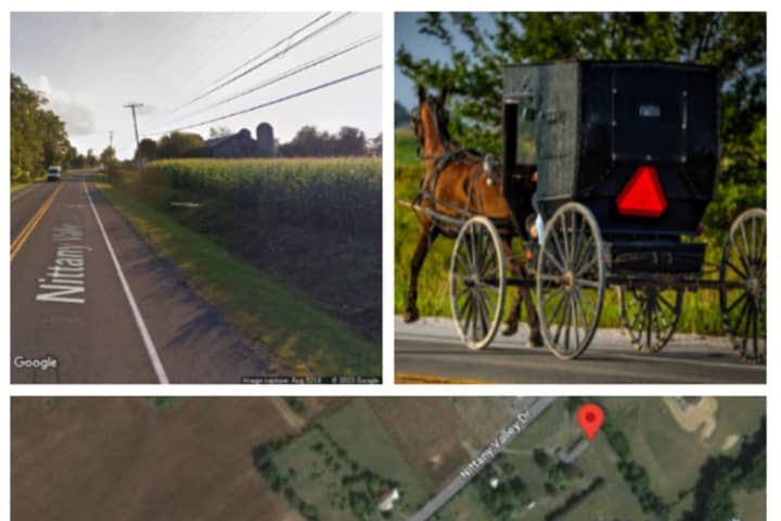 Amish Teens Among 3 Seriously Injured In Horse-Buggy Crash: PA State Police