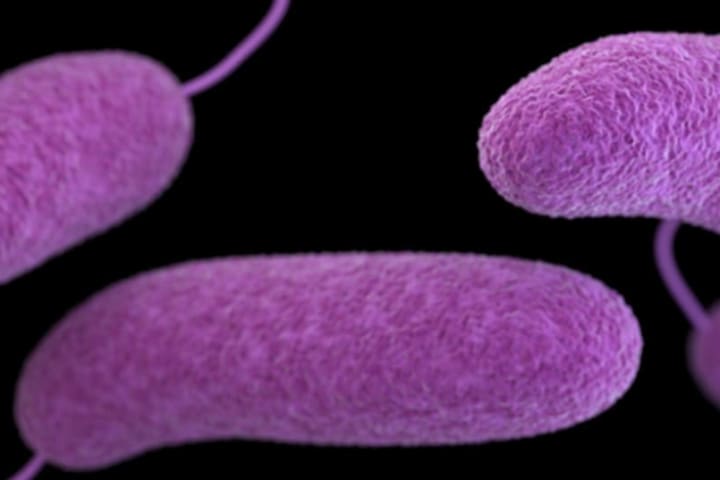 PA Patient Has Deadly Flesh Eating Bacterial Infection, Health Dept. Says