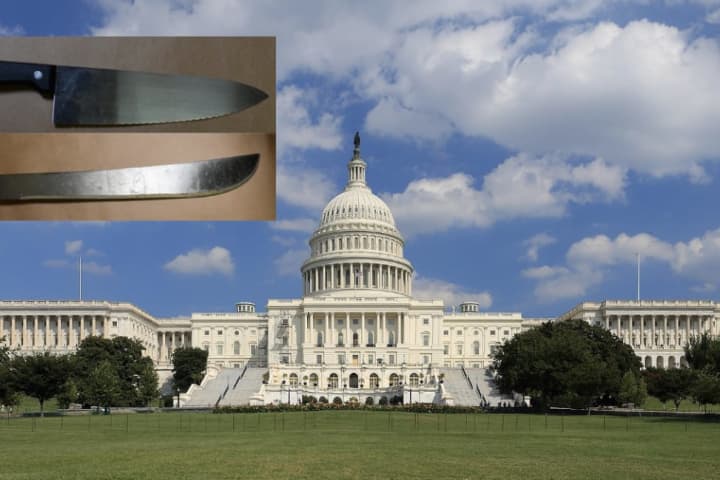 Homeless Man Caught With Machete, Knife Outside US Capitol: Police