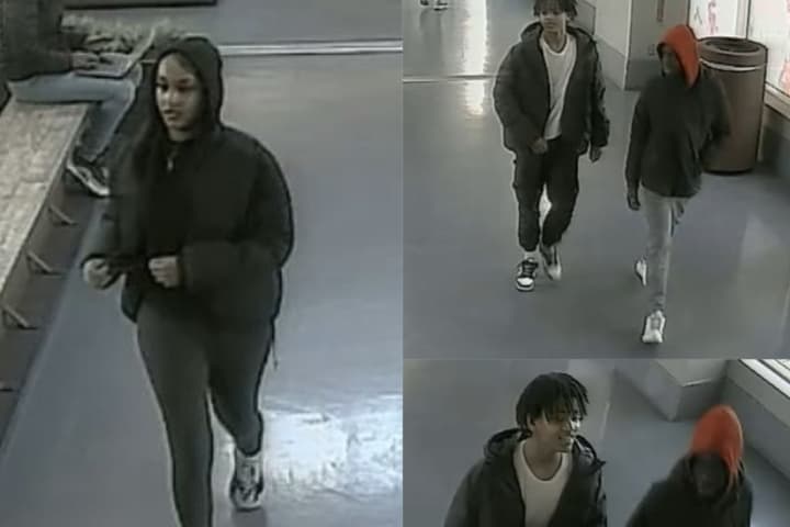 Group Wanted For Phone Store Robbery At Ellsworth Place Mall, Police Say