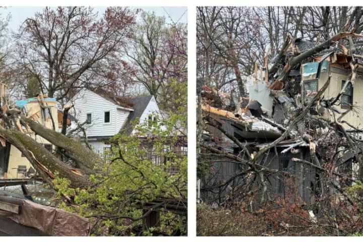 Fallen Tree Damages 3 Montgomery County Homes, Several People Displaced