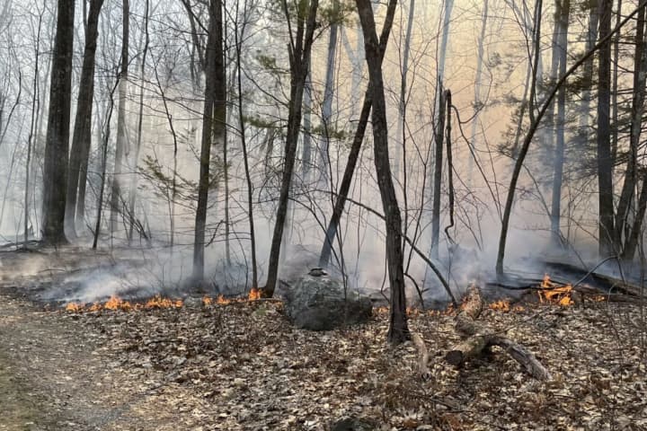 Brushfire Torches 36 Acres In Central Mass: Firefighters