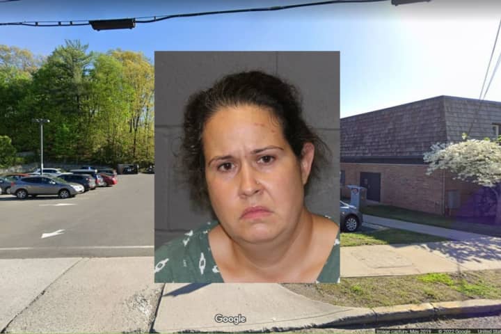 CT Woman Charged With Animal Cruelty In Death Of Dog Left In Hot Car, Police Say