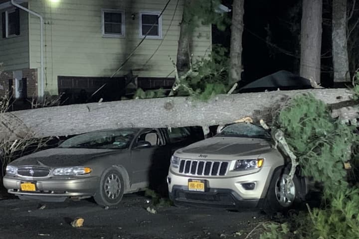Severe Winds Bring Down Large Tree On Top Of Cars In Ulster County