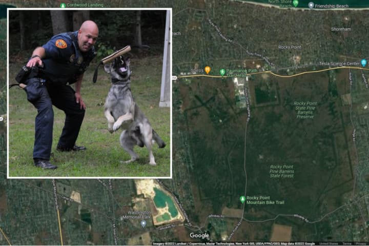 Good Boy: Police Dog Sniffs Out Alleged Catalytic Converter Thief Hiding In Long Island Woods