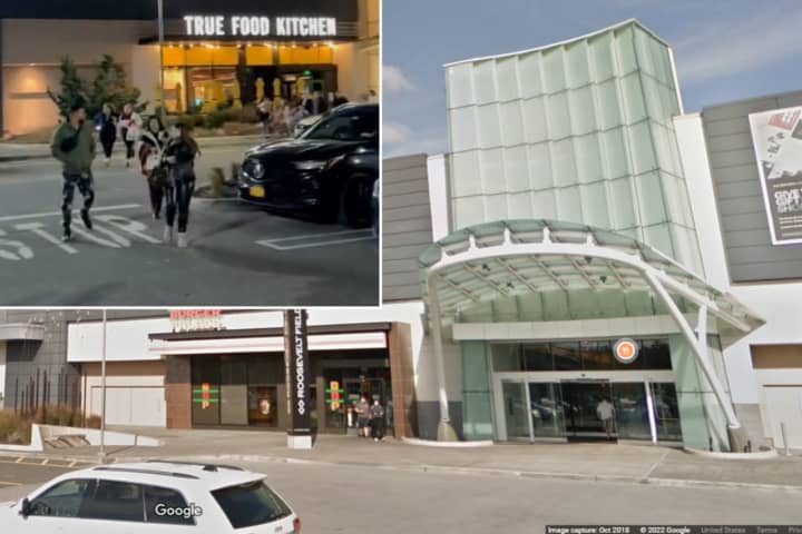 Here’s What Sparked Panic, Sent Shoppers Fleeing Roosevelt Field Mall On Day After Christmas