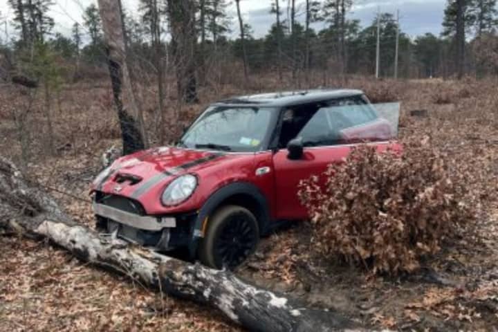 Coops! Driver Ticketed After Mini Cooper Gets Stuck On Hiking Trail In Region