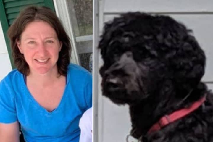Capital Region Woman, Dog Missing Over Week Spotted On Video In NYC
