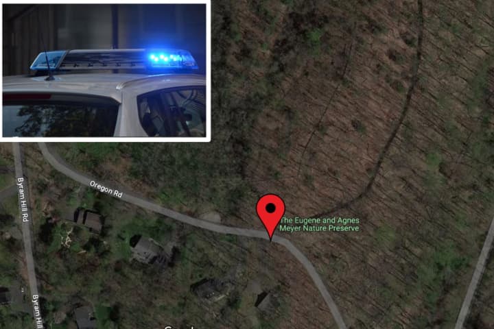 Lost Duo Rescued From Hiking Preserve In Armonk With Help Of Phone App
