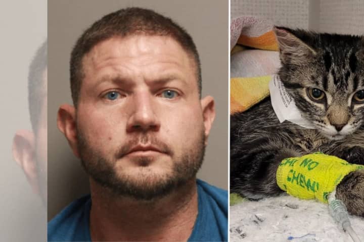 Kitten’s Abuse Probe Leads To Rape, Robbery, Other Charges Against Capital Region Man