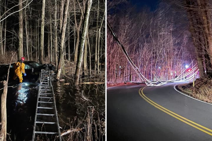 Driver Rescued After Hitting Pole, Landing In Swamp 40 Feet Away From Road In Patterson