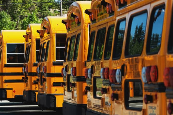 Fallen Trees, Power Lines Block Bus Routes In Westchester School District