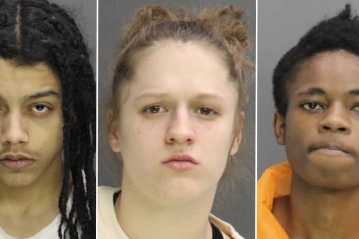 Dating App Setup: Trio Charged In Second Ambush Robbery In Guilderland