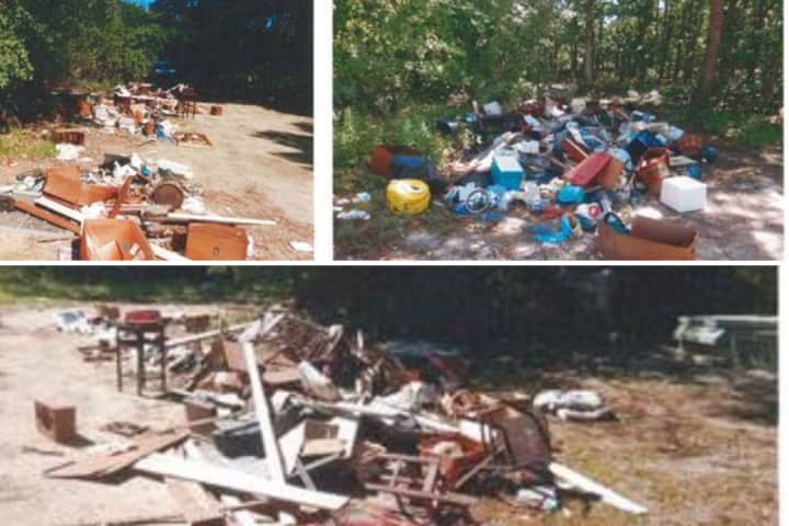 Suspect Fined, Ordered To Clean Pine Barrens In Suffolk County After Illegally Dumping Trash