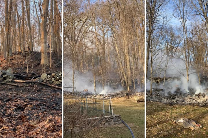 Brush Fire Almost Reaches Homes In Mahopac, Leaves Backyards Scorched