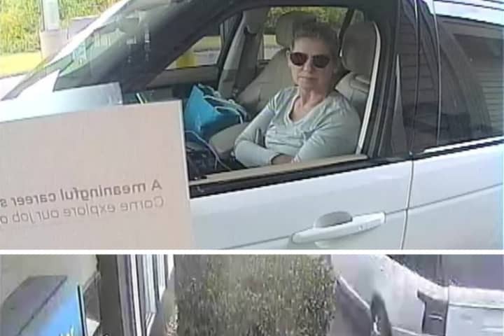 Seen Her? Woman Breaks Into Victim's Car, Tries Cashing Check In Her Name In Vernon: Police