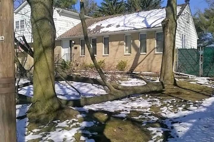 Two Hospitalized After Tree Limb Falls On Them In Paramus