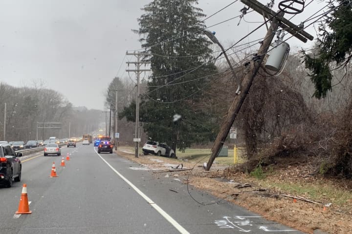 Driver Dies After Crashing Into Telephone Pole, Hitting Tree In Wellesley